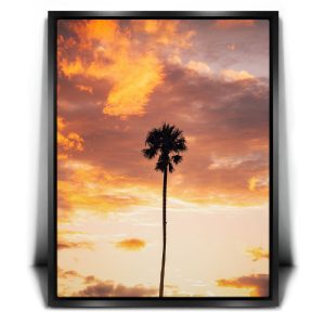 Fire Palm Canvas