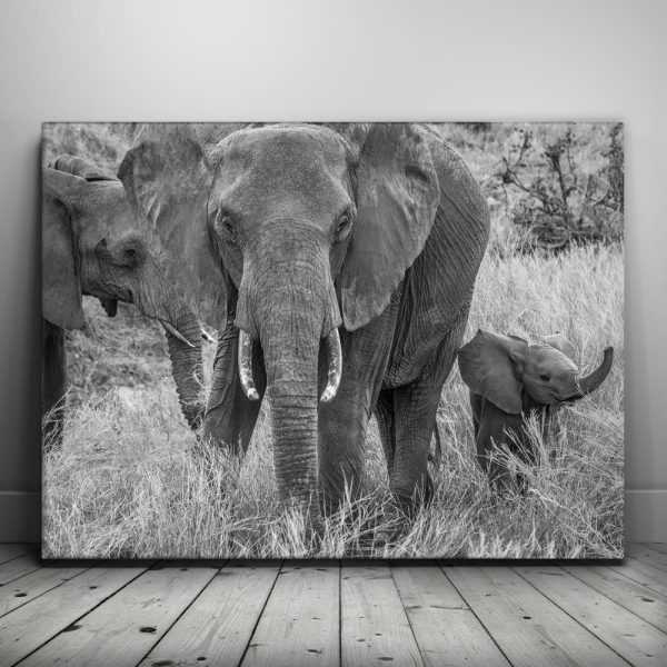 Trumpeter Canvas