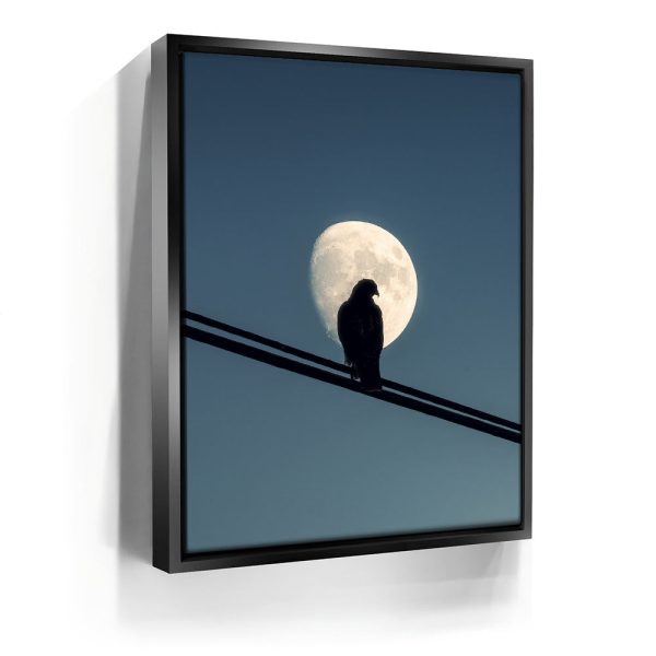 Night Hawk Canvas - Image 3