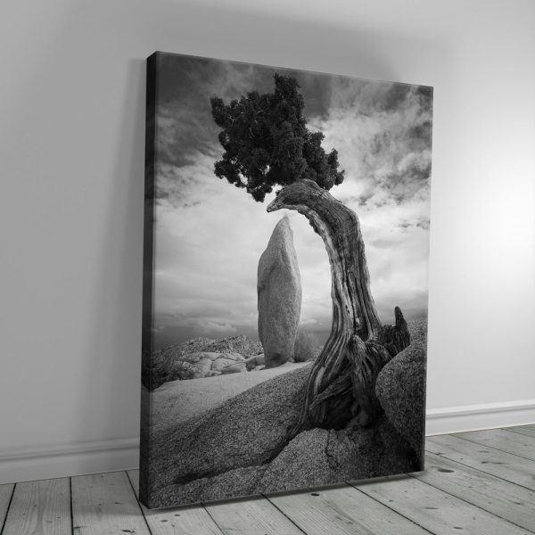 Penguin Rock Canvas - Image 2