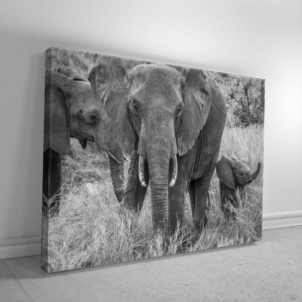 Trumpeter Canvas - Image 2