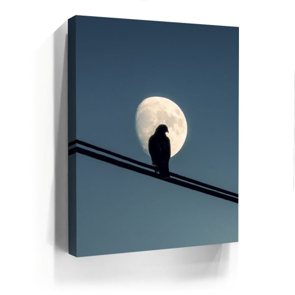 Night Hawk Canvas - Image 4