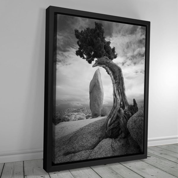 Penguin Rock Canvas - Image 3