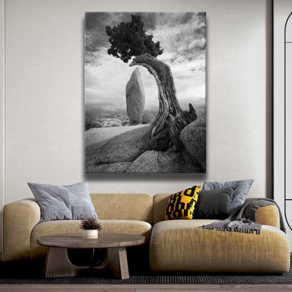 Penguin Rock Canvas - Image 4